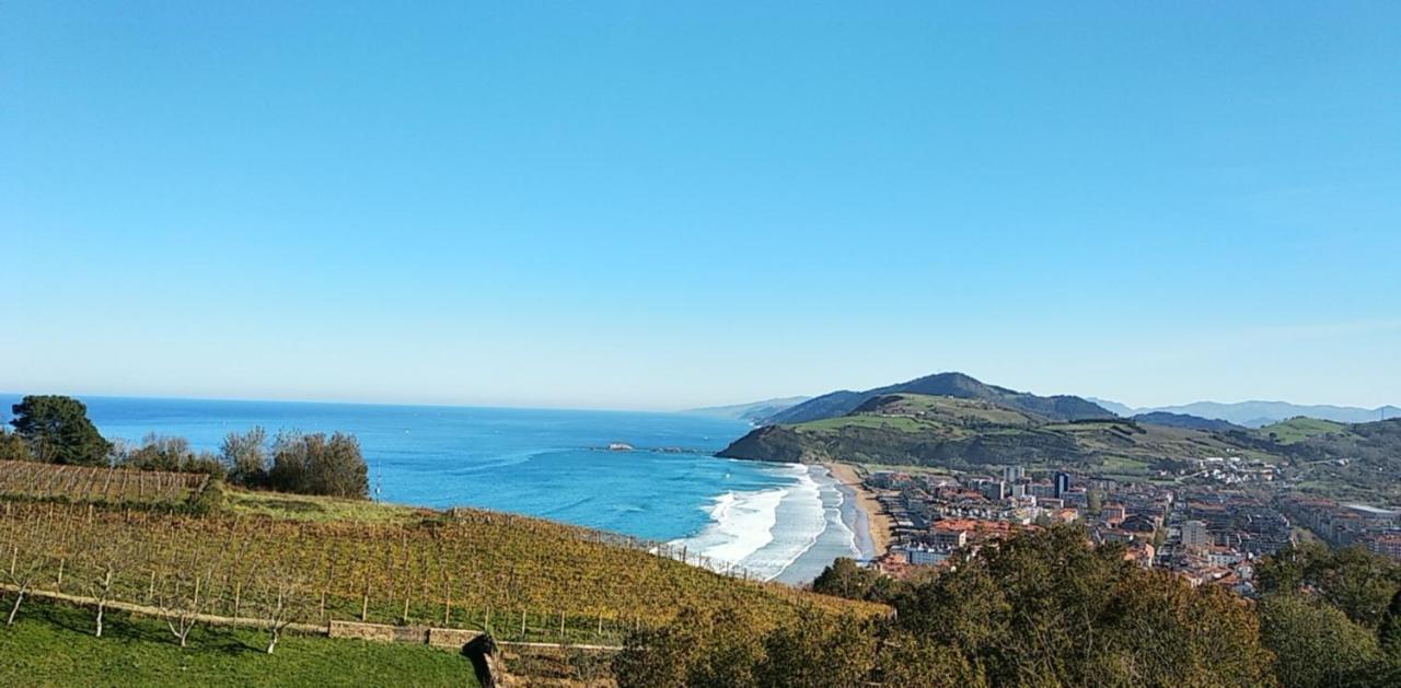 Oferta Especial Ultima Hora - Sarakatua15 - Vistas Espectaculares - Familias Y Parejas - 2 Dormitorios Independientes - Amplio Salon Cocina Comedor - Tarjeta Parking Ota Gratis - Estancia Minima 2 Noches - Zarautz Esterno foto